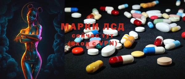 ECSTASY Богородск