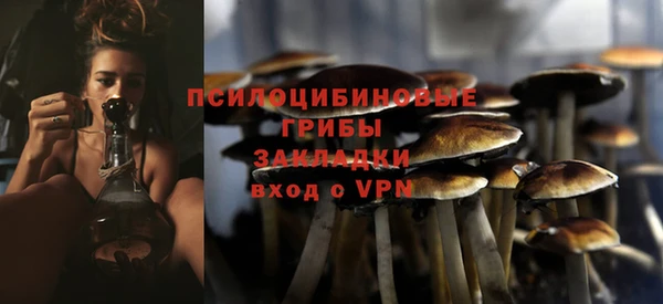 а пвп мука Бугульма