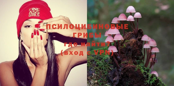 ECSTASY Богородск