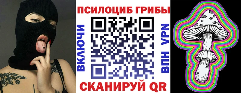 Галлюциногенные грибы Psilocybe Пыть-Ях
